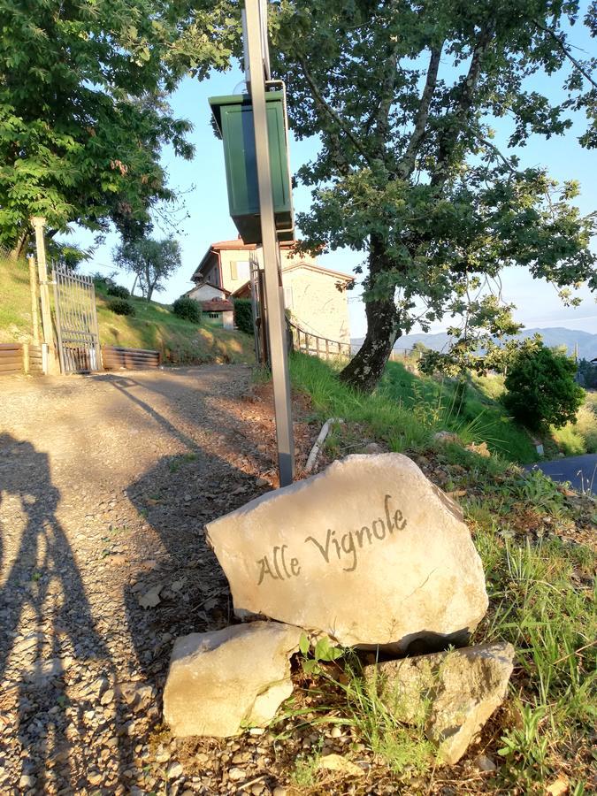 Alle Vignole Bed & Breakfast Coreglia Antelminelli Exterior photo