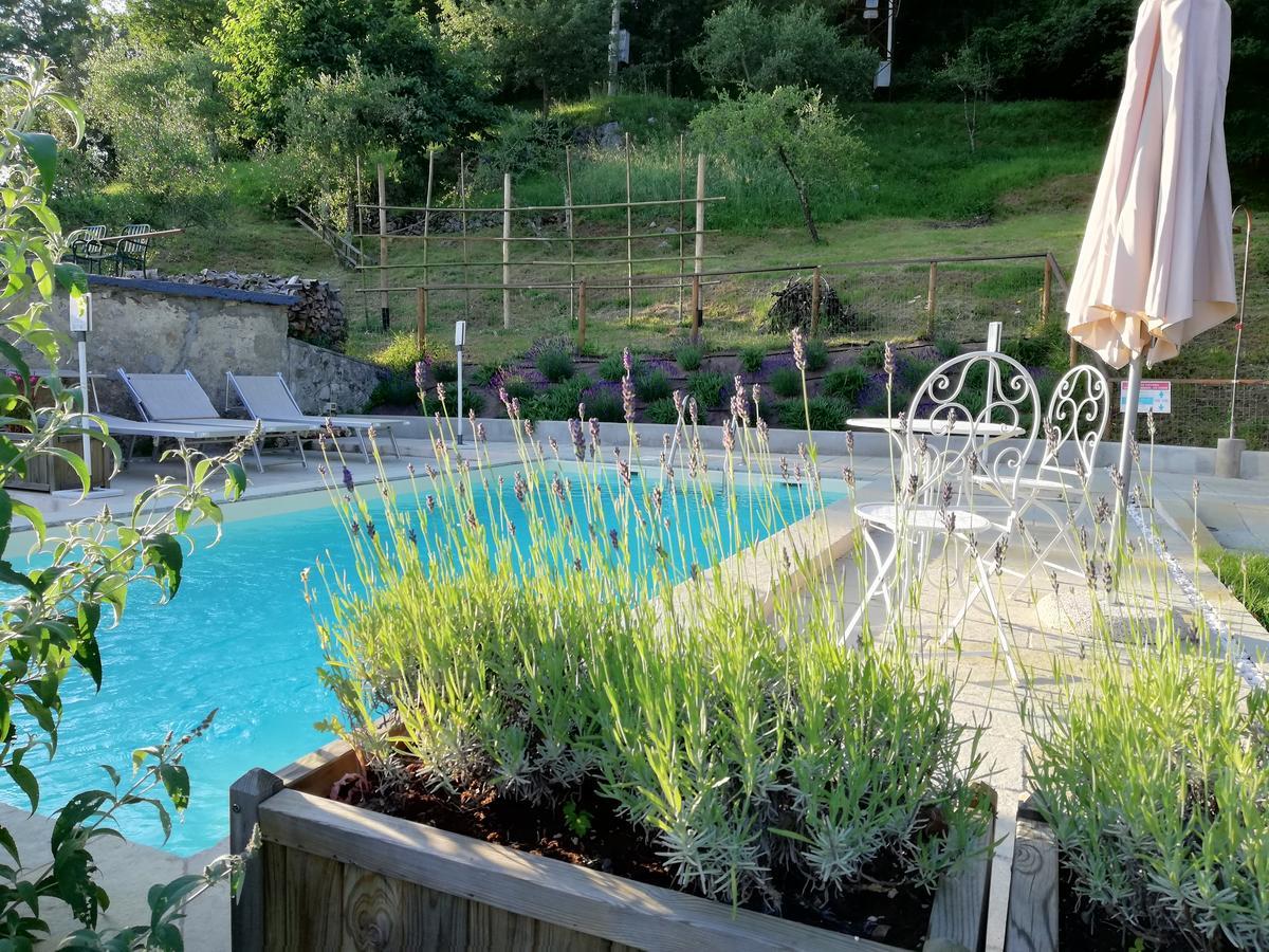 Alle Vignole Bed & Breakfast Coreglia Antelminelli Exterior photo